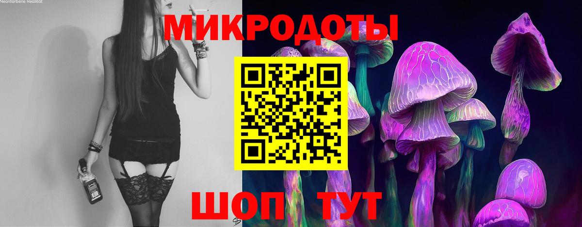 Псилоцибиновые грибы MAGIC MUSHROOMS Верхняя Пышма